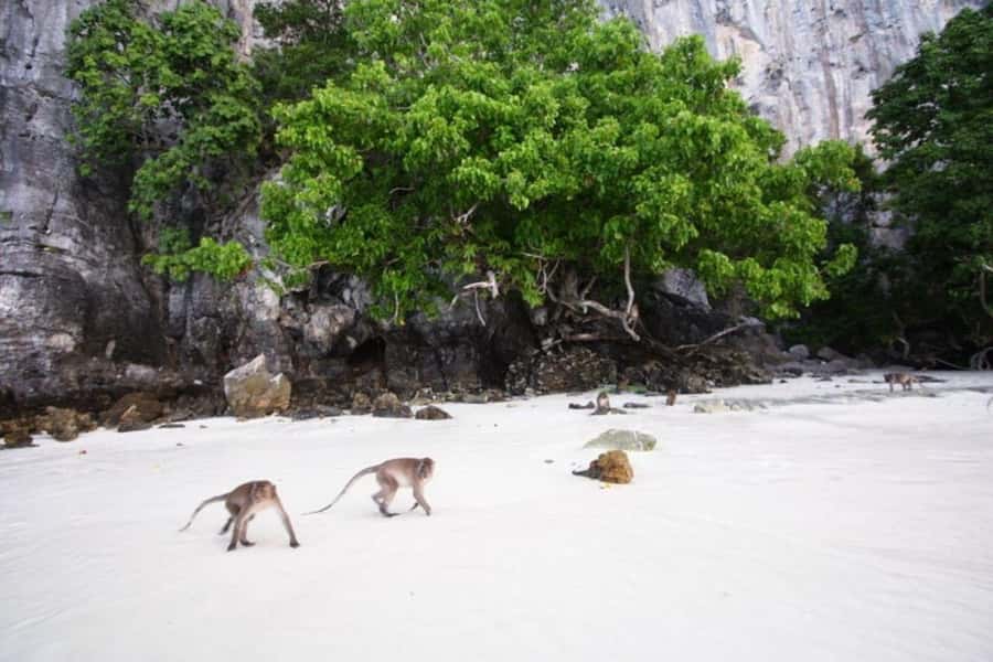 From Phi Phi Don:Sunset and Plankton Snorkeling by Speedboat - Pileh Lagoon Swim: The Limestone Swimming Pool Moment