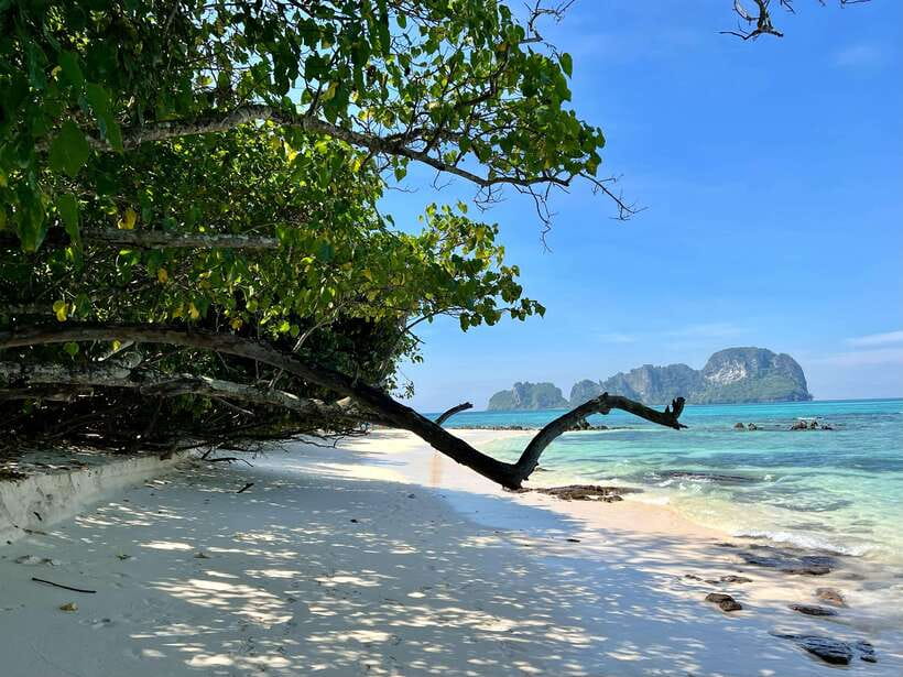From Phi Phi: Full Day 7 Island Tour by Longtail with Sunset - Monkey Beach: quick monkey chaos with postcard views