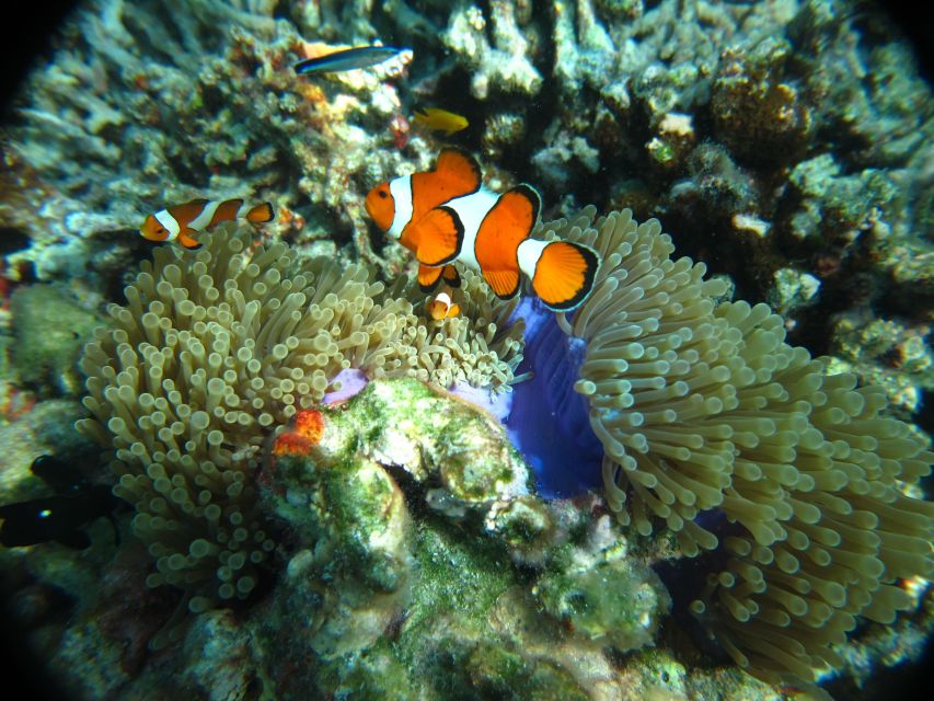 From Phi Phi: Full Day Snorkeling Trip by Longtail Boat - The Sunset Return to Tonsai Bay: When You’re Not in the Water