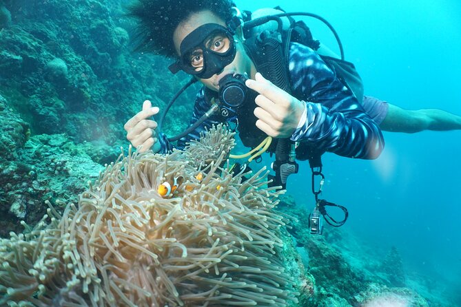 From Phi Phi: Half Day Discover Scuba (2 Dives) - What You’ll See Underwater: Turtles, Clownfish, Sharks, and Coral