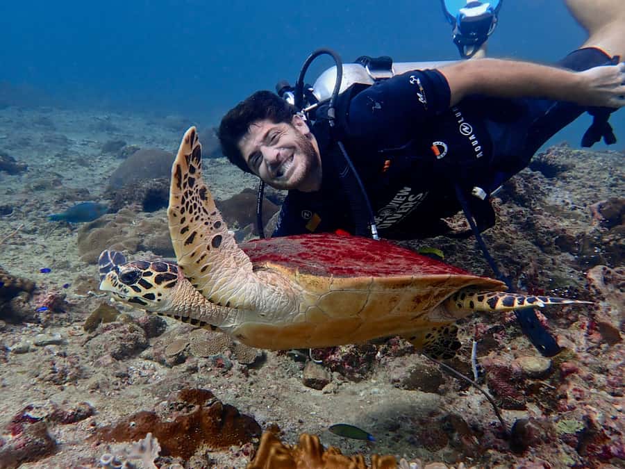 From Phi Phi: Half-Day Trip for Certified Divers (2 Dives) - Key points worth knowing