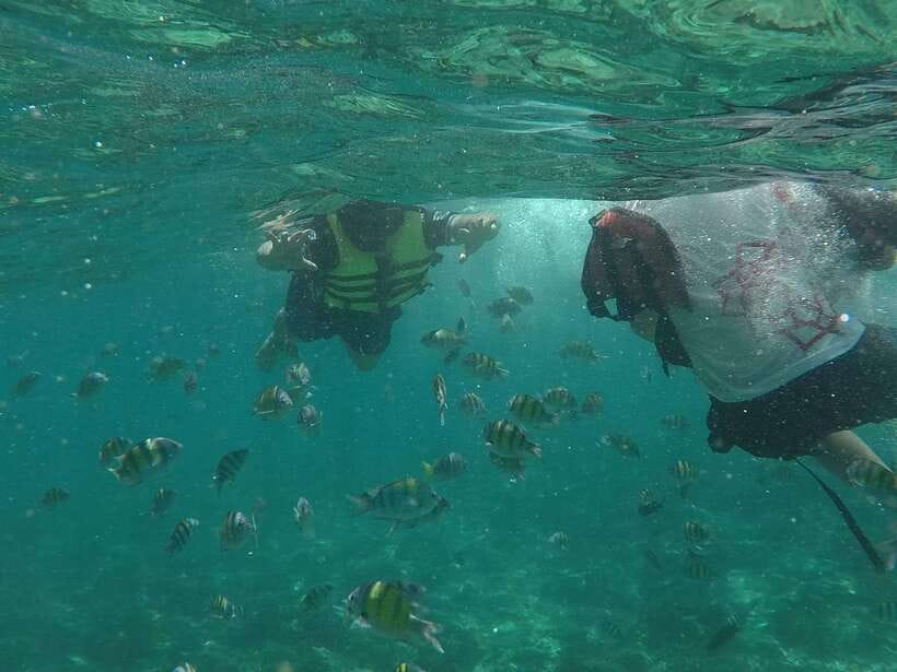 From Phi Phi Island :Half-day Tour by Longtail Boat - What’s included (and what to pack) so you’re not stuck