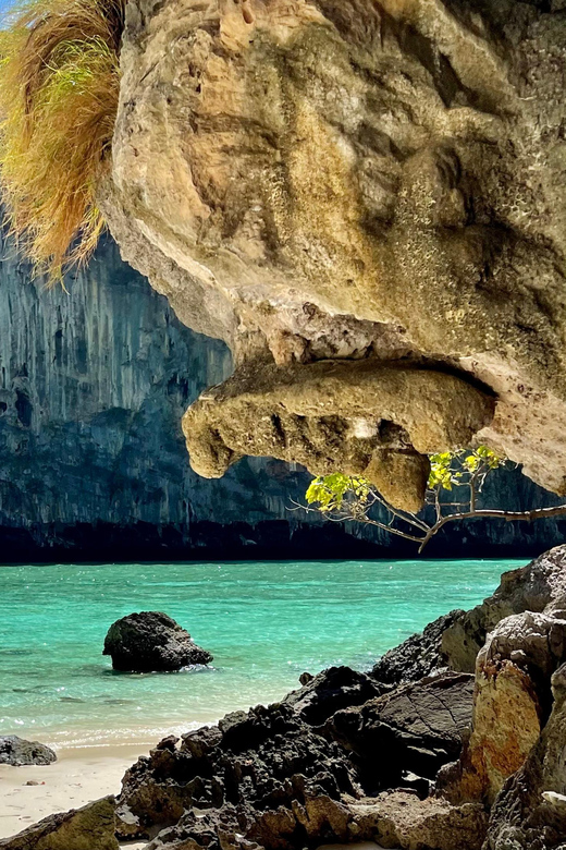 From Phi Phi : Maya Bay Longtail Boat Tour - Key highlights at a glance