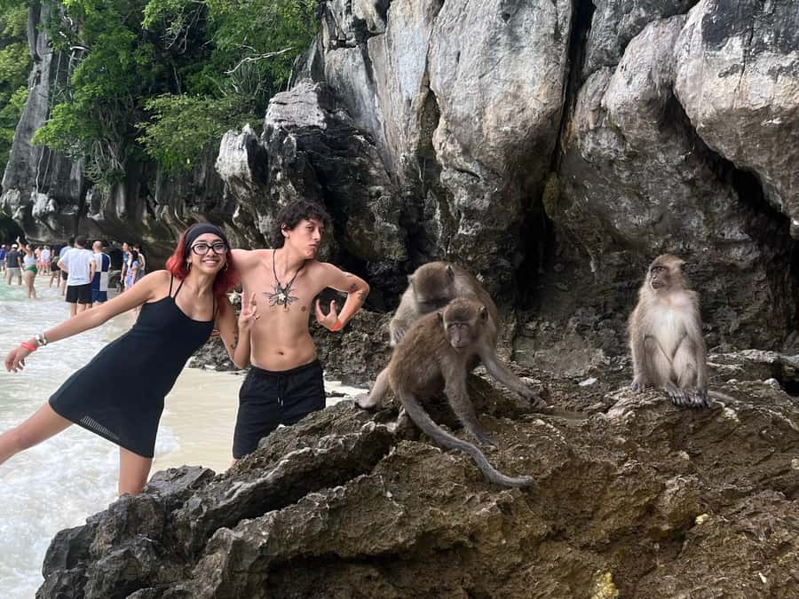 From Phi Phi : One Day Trip by speedboat with Lunch - Monkey Beach: wild monkeys and a short snorkeling window
