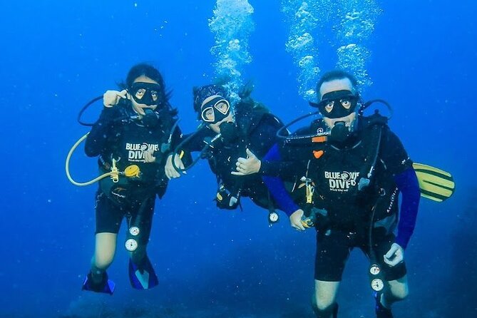 From Phi Phi: PADI Open Water Course <em>eLearning (2+ days) – Key points to know before you go’ /></p>
<ul>
<li><strong>eLearning first</strong>: you study on your own schedule (8–12 hours) before pool and in-water skills</li>
<li><strong>Max 10 learners</strong>: small groups mean more hands-on attention</li>
<li><strong>Two sessions per day</strong>: boat days run about 5 hours with lunch in between</li>
<li><strong>Eco-focused rhythm</strong>: zero-waste lunch plus careful reef respect during training</li>
<li><strong>Reef-area route</strong>: Ko Phi Phi Le, Maya Bay area, and Ko Bida Nok/Bida spots are worked into the plan</li>
</ul>
<h2 id="underwater-training-on-ko-phi-phi-don-with-small-group-attention">Underwater training on Ko Phi Phi Don, with small-group attention</h2>
<p>eLearning (2+ days) – Underwater training on Ko Phi Phi Don, with small-group attention’ /><br />
Ko Phi Phi Don is the easy base for learning scuba, because you’ve got a compact setup and fast access to boat departures. This course runs as a 2+ day experience (roughly 2 days and 6 hours total), but the program is designed to spread out the work so you don’t feel rushed. You study first, then you practice, then you finish your required open-water sessions as your skills lock in.</p>
<p><p>What I like about this format is how it keeps you moving without turning learning into a frantic sprint. Check-in is one day before you start—at the Viewpoint Resort area, about 5 minutes outside town—so you can get oriented when you’re fresh. If you arrive early, you can ask to start the same day.</p>
</p>
<p><p>Blue View (the operator) also keeps classes small (up to 10), which matters when you’re learning buoyancy, breathing control, and basic navigation. With fewer people around, you get more time for questions and more feedback that actually helps you adjust.</p>
</p>
<div style="margin: 20px 0; padding: 15px 0;"><p>You can also read our reviews of more tours and experiences in Ko Phi Phi Don.</p><ul style="margin: 10px 0; padding: 0; list-style: none;"><li style="margin: 0 0 10px 0; padding: 0 0 10px 0; border-bottom: 1px solid #eee; display: flex; align-items: flex-start; gap: 12px; line-height: 1.4;"><a href="https://thethailandtraveler.com/from-phi-phi-sunrise-beat-the-crowds-to-maya-bay-by-speedboat/" aria-hidden="true" tabindex="-1"><img decoding="async" style="width: 80px; height: 60px; object-fit: cover; border-radius: 4px; flex-shrink: 0;" src="https://6.thethailandtraveler.com/wp-content/uploads/from-phi-phi-sunrise-beat-the-crowds-to-maya-bay-by-speedboat-150x150.jpg" alt="" loading="lazy"></a><div><a href="https://thethailandtraveler.com/from-phi-phi-sunrise-beat-the-crowds-to-maya-bay-by-speedboat/">From Phi Phi: Sunrise & Beat The Crowds to Maya Bay by Speedboat</a><br><span style="font-size: 0.82em; color: #555; margin-top: 2px;"><span style="color: #f5a623;">★</span> 5.0 · 124 reviews</span></div></li><li style="margin: 0 0 10px 0; padding: 0 0 10px 0; border-bottom: 1px solid #eee; display: flex; align-items: flex-start; gap: 12px; line-height: 1.4;"><a href="https://thethailandtraveler.com/highlights-of-phi-phi-islands/" aria-hidden="true" tabindex="-1"><img decoding="async" style="width: 80px; height: 60px; object-fit: cover; border-radius: 4px; flex-shrink: 0;" src="https://6.thethailandtraveler.com/wp-content/uploads/highlights-of-phi-phi-islands-150x150.jpg" alt="" loading="lazy"></a><div><a href="https://thethailandtraveler.com/highlights-of-phi-phi-islands/">Highlights of Phi Phi Islands</a><br><span style="font-size: 0.82em; color: #555; margin-top: 2px;"><span style="color: #f5a623;">★</span> 4.5 · 86 reviews</span></div></li><li style="margin: 0; padding: 0; border-bottom: none; display: flex; align-items: flex-start; gap: 12px; line-height: 1.4;"><a href="https://thethailandtraveler.com/from-phi-phi-half-day-discover-scuba-2-dives/" aria-hidden="true" tabindex="-1"><img decoding="async" style="width: 80px; height: 60px; object-fit: cover; border-radius: 4px; flex-shrink: 0;" src="https://6.thethailandtraveler.com/wp-content/uploads/from-phi-phi-half-day-discover-scuba-2-dives-150x150.jpg" alt="" loading="lazy"></a><div><a href="https://thethailandtraveler.com/from-phi-phi-half-day-discover-scuba-2-dives/">From Phi Phi: Half Day Discover Scuba (2 Dives)</a><br><span style="font-size: 0.82em; color: #555; margin-top: 2px;"><span style="color: #f5a623;">★</span> 5.0 · 77 reviews</span></div></li></ul></div><h2 id="elearning-setup-plan-for-8-12-hours-before-the-pool">eLearning setup: plan for 8–12 hours before the pool</h2>
<p><img width="669" height="446" decoding="async" src=