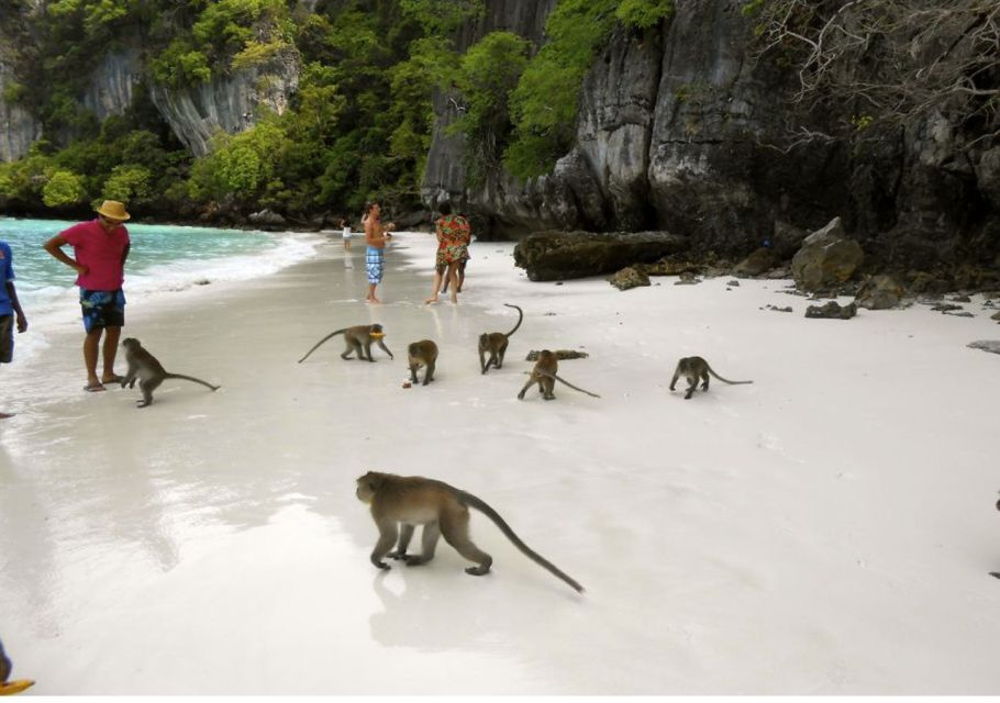 From Phi Phi: Private Full-Day Speed Boat Charter - Bamboo Island lunch on sand: the calm break you’ll appreciate