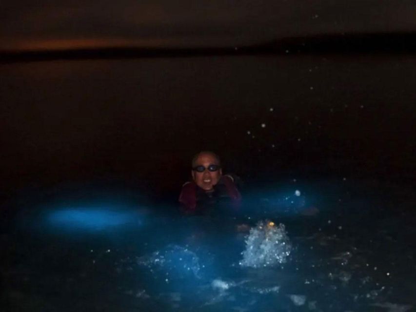 From Phi Phi: Sunset & Bioluminescent Plankton Snorkel Tour - Why this Phi Phi sunset plankton tour feels different
