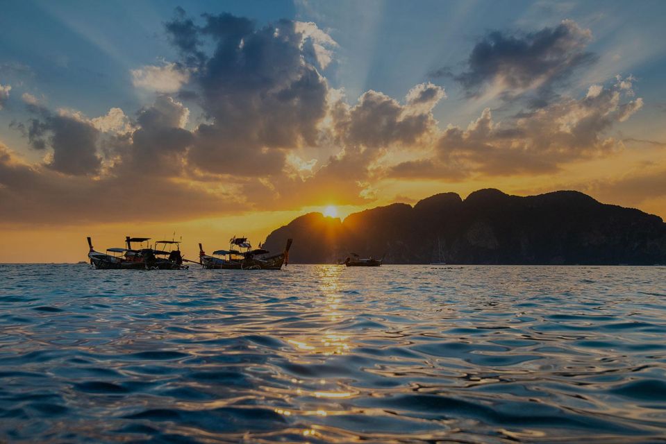 From Phi Phi: Sunset & Bioluminescent Plankton Snorkel Tour - Monkey Beach: the wildlife stop with real momentum