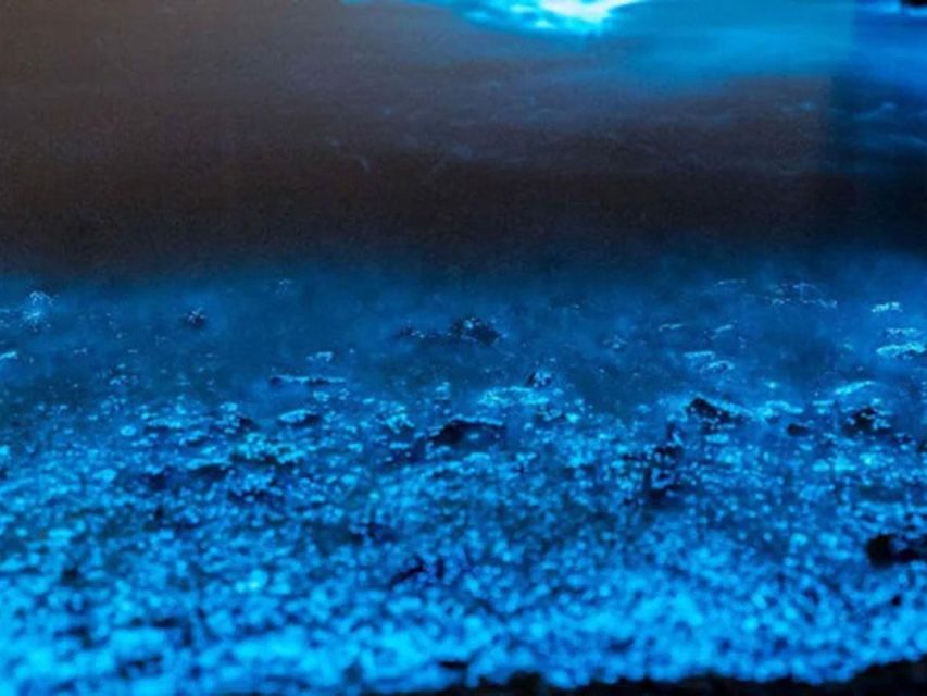 From Phi Phi: Sunset & Bioluminescent Plankton Snorkel Tour - Loh Samah Bay: your big swim-and-relax moment