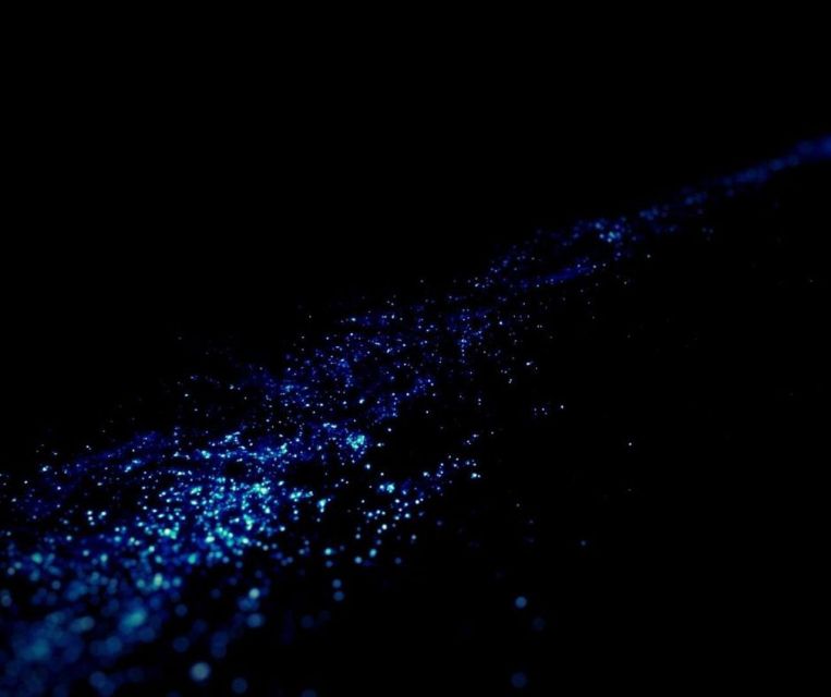 From Phi Phi: Sunset & Bioluminescent Plankton Snorkel Tour - Price and what you really pay (including the park fee)