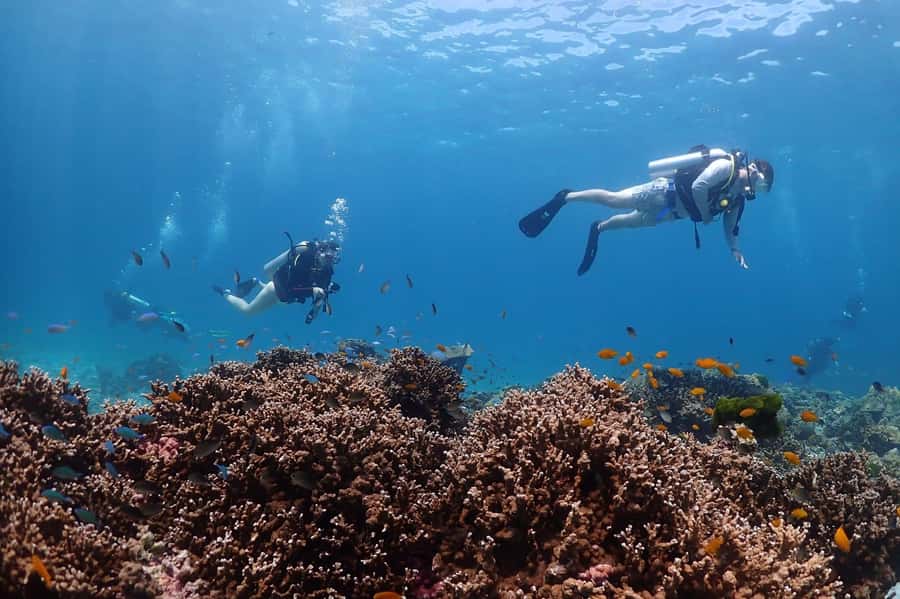 From Phuket: 3-Day SSI/PADI Open Water Diver Certification - Chalong to Racha islands: what makes this course feel practical
