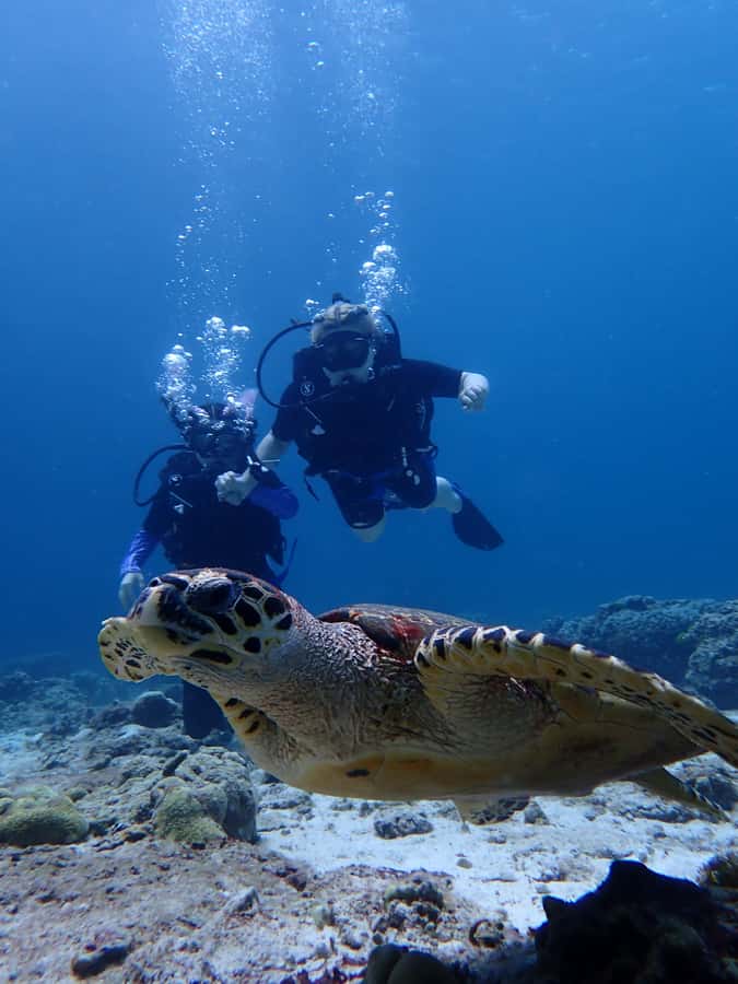 From Phuket: 3-Day SSI/PADI Open Water Diver Certification - Day 1 in Chalong pool: theory + controlled skill building