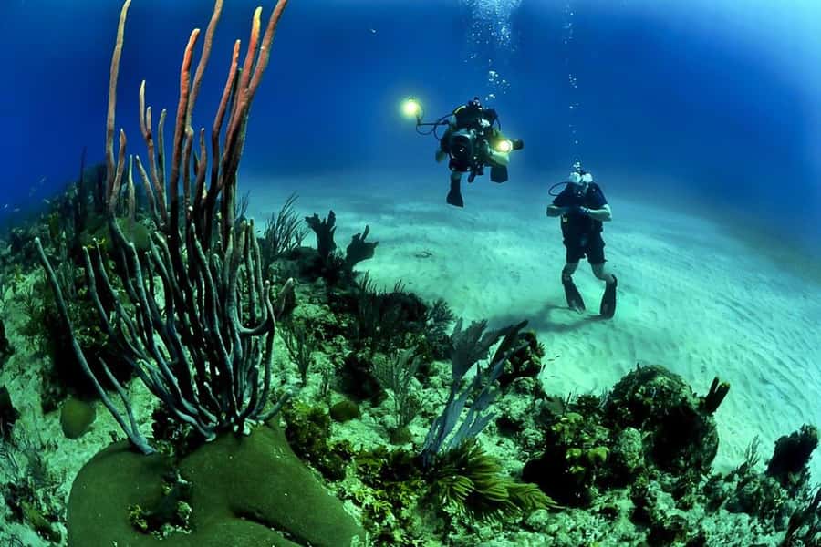 From Phuket: 3-Day SSI/PADI Open Water Diver Certification - Day 3 on Racha Noi: finishing strong with 3 underwater sessions