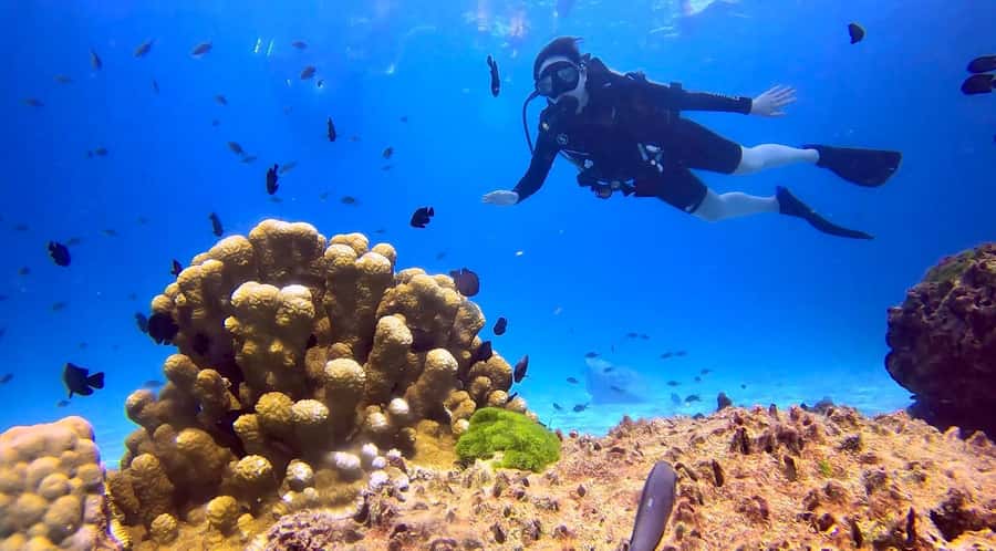 From Phuket: 3-Day SSI/PADI Open Water Diver Certification - Price and value: why $530 can work out better than you think