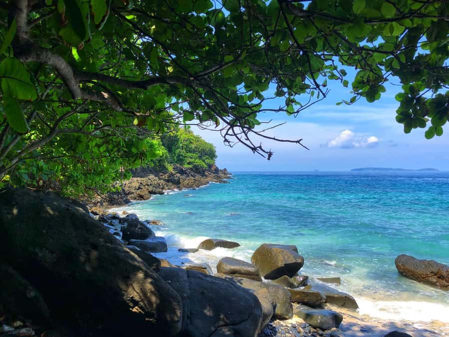 From Phuket: Coral Island Private Longtail Boat Tour - Meeting point reality: plan your timing like a pro