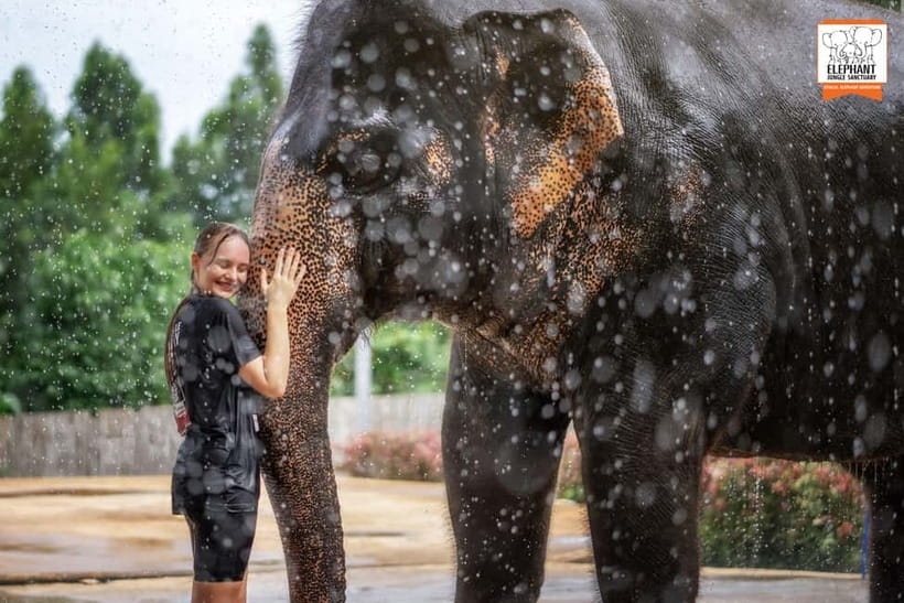 From Phuket: Elephant Jungle Sanctuary Feed and Shower Trip - The 90-minute feed-and-shower rhythm in Phuket