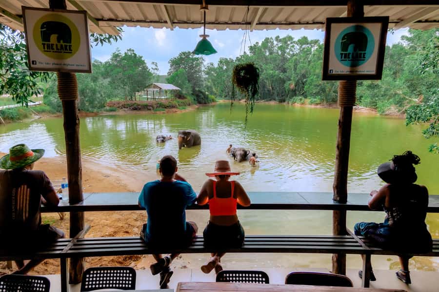 From Phuket: Ethical Elephant Interactive Trek and Tour - Who this tour is best for (and who should pass)