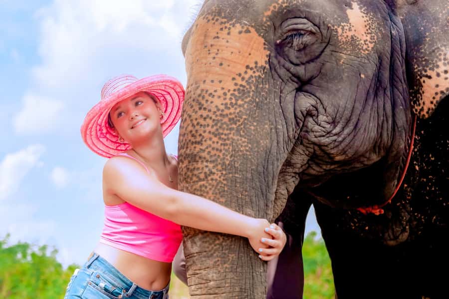 From Phuket: Ethical Elephant Interactive Trek and Tour - Mud spa with elephants: messy fun with a real purpose