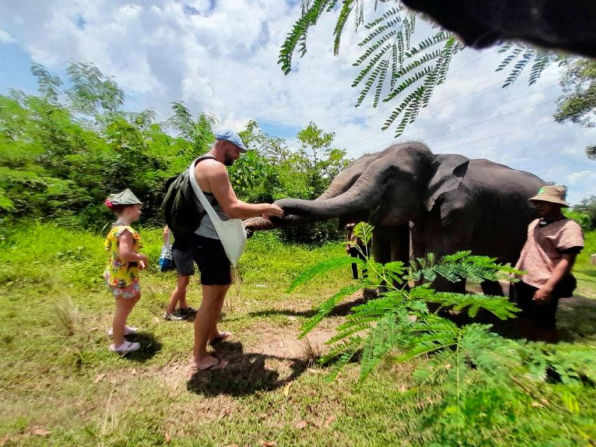 From Phuket: Ethical Elephant Interactive Trek and Tour - Small group of 10: what it changes for your day (and for the elephants)
