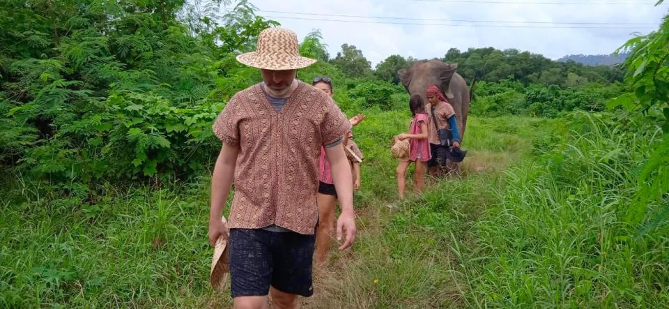 From Phuket: Ethical Elephant Interactive Trek and Tour - Logistics you should plan for: transfers, time, and clothing