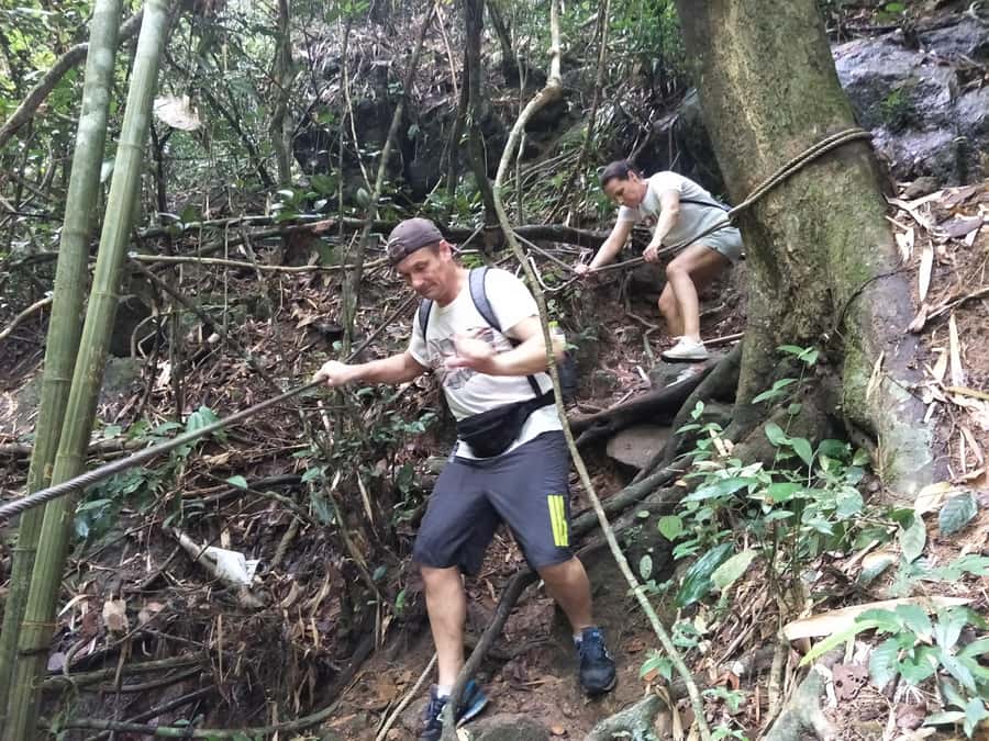 From Phuket: Guided Rainforest Hike with Lunch - Key things I’d highlight before you go