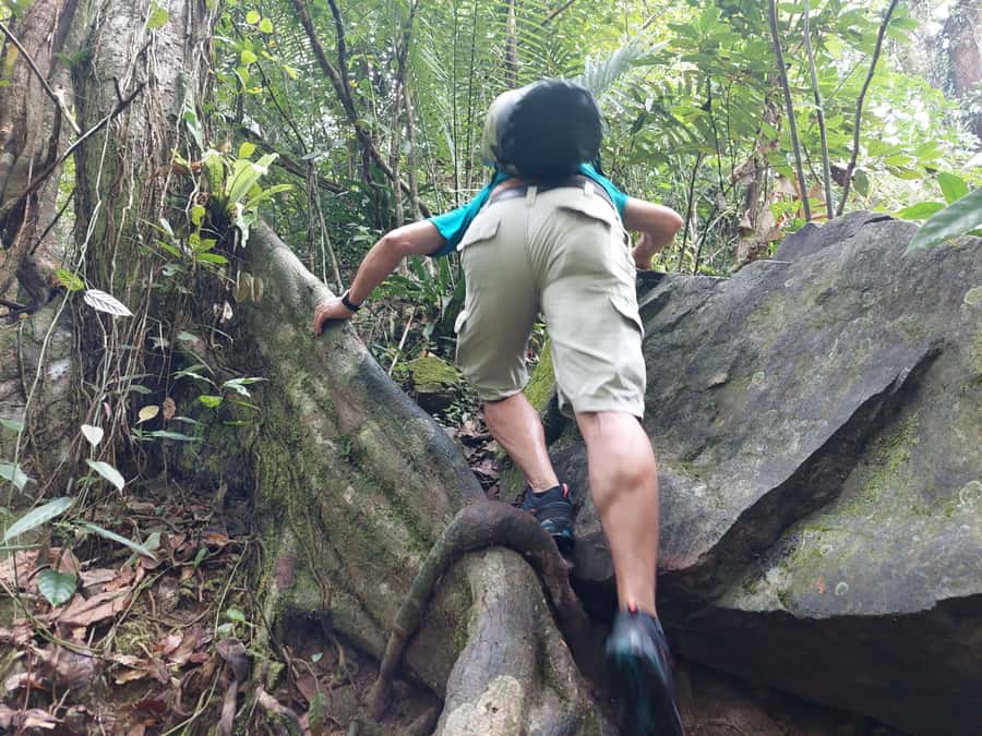 From Phuket: Guided Rainforest Hike with Lunch - Why this Phuket rainforest hike beats a typical day tour