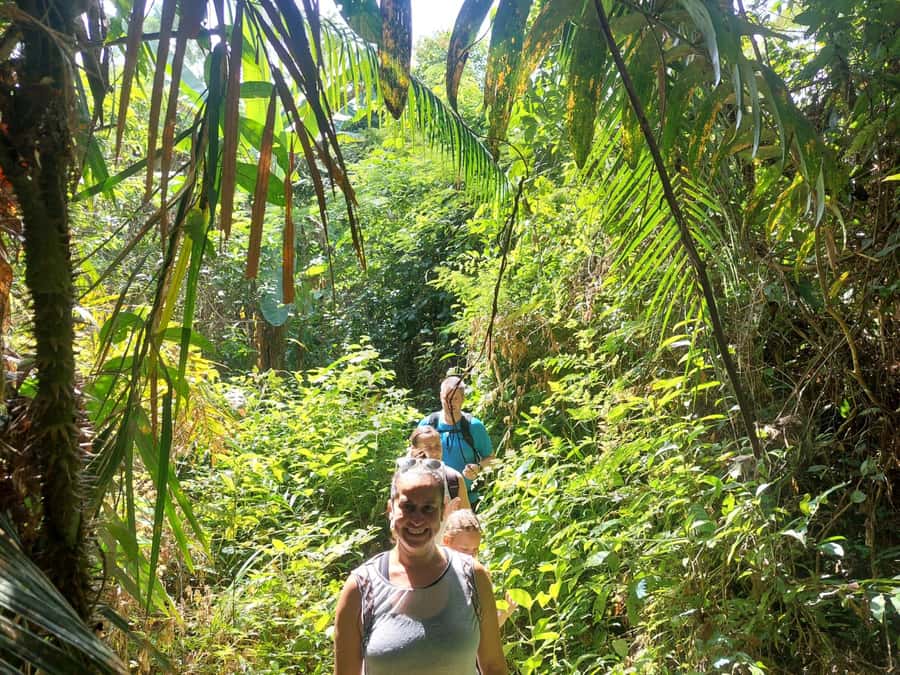 From Phuket: Guided Rainforest Hike with Lunch - Fitness reality check: this is for active feet