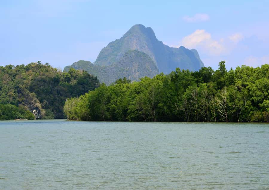 From Phuket : James Bond Island Tour with Cave Canoeing - Lunch at Panyi Village: eating well without breaking the day