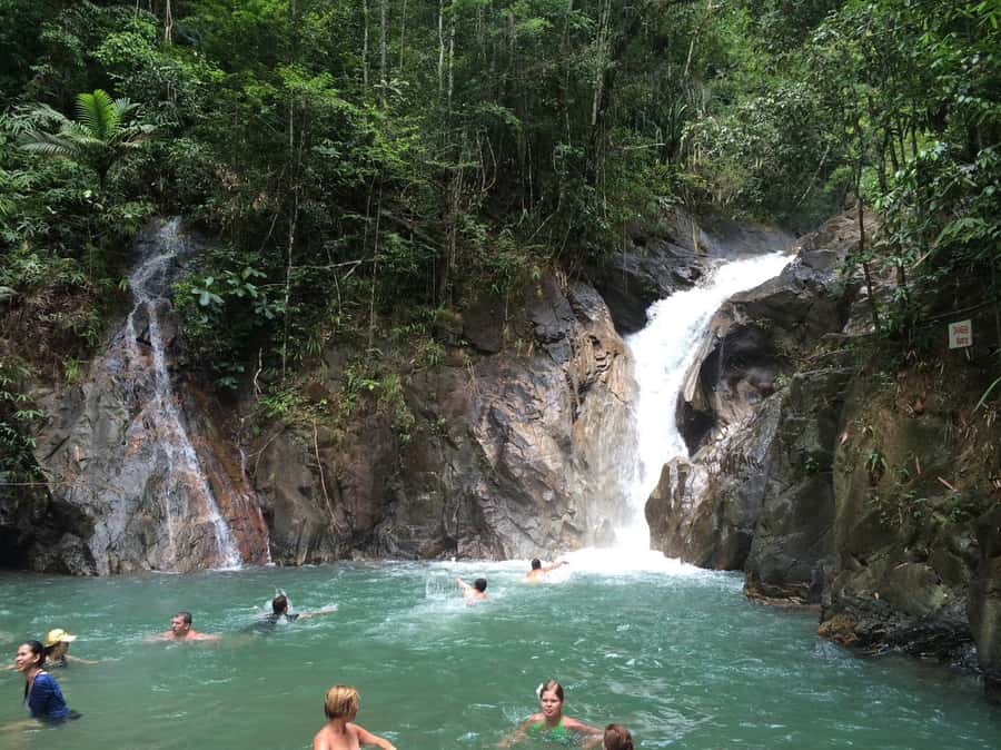 From Phuket & Khao Lak: Elephant Care with Waterfall Visit - Thai Lunch With Fruit, Tea, and Coffee: Fuel for the Second Half