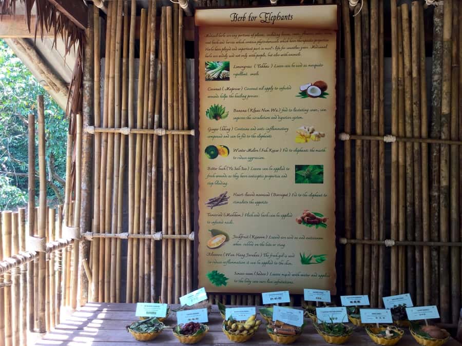 From Phuket & Khao Lak: Elephant Care with Waterfall Visit - Waterfall Stop and Natural Pond Time: The Pretty Finish