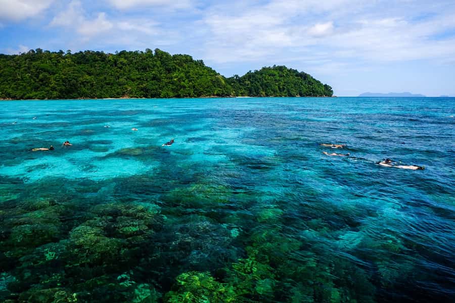 From Phuket/Khaolak: Surin Islands Snorkeling Day Trip - Why Surin Islands snorkeling feels different (and better) than the loudest options