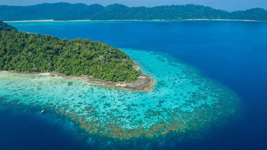 From Phuket or Khaolak: Surin Islands Day Trip - The return ride: keep an eye on sea comfort and motion