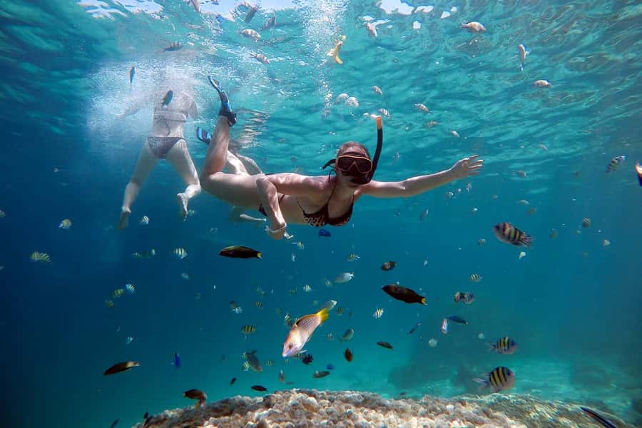 From Phuket: Phi Phi and Maya Bay Snorkeling by Speedboat - Key Points to Know Before You Go