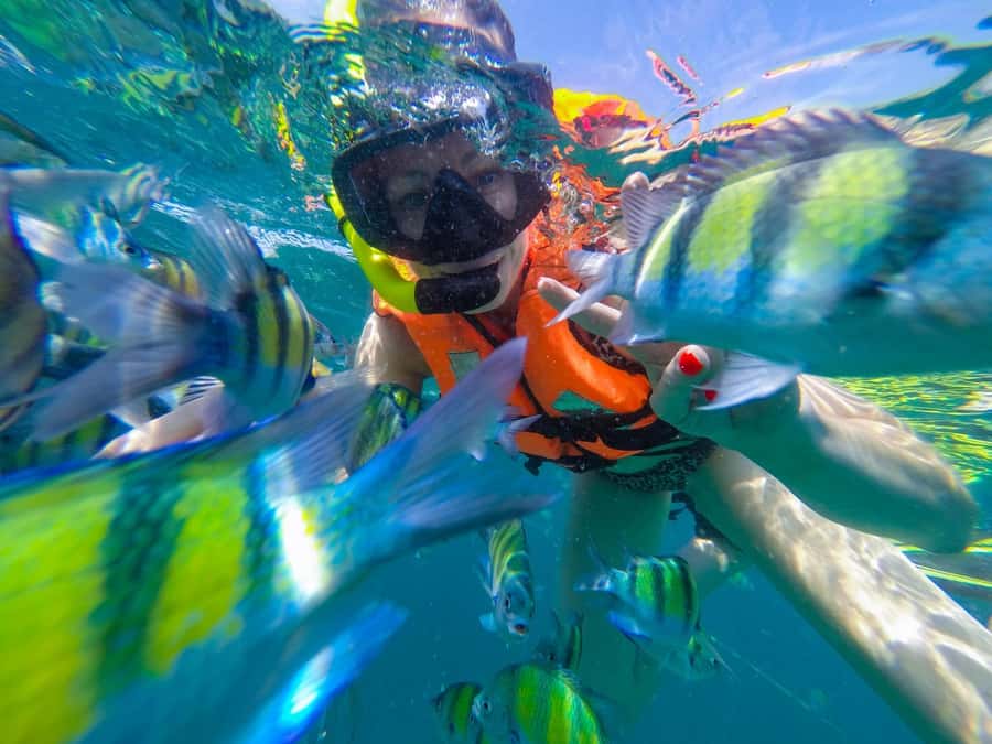 From Phuket: Phi Phi and Maya Bay Snorkeling by Speedboat - Phi Phi Leh and Maya Bay: Famous Shorelines, Real-World Conditions
