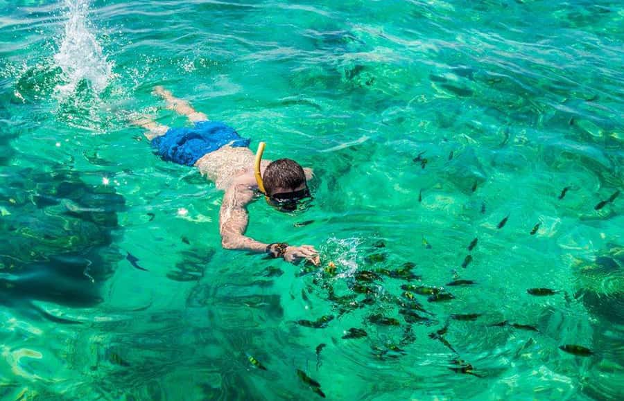 From Phuket: Phi Phi Island Dawn Tour with Lunch - Maya Bay today: photo viewing instead of beach time