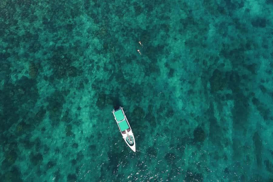 From Phuket: Phi Phi Island Private Full-Day Speedboat Trip - Bamboo Island: Swim, Snorkel, or Just Breathe