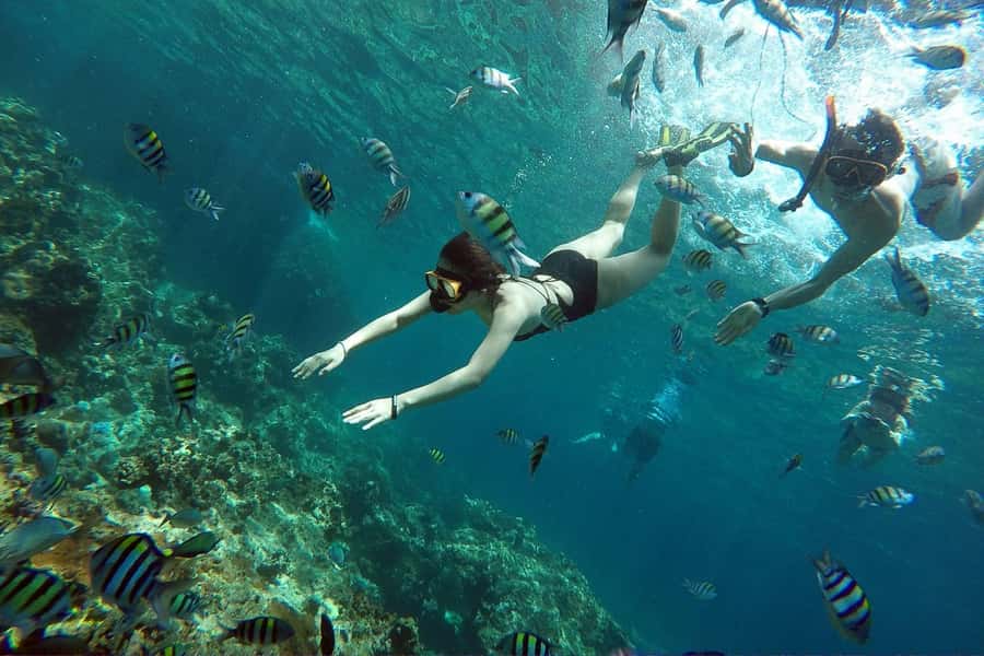 From Phuket: Phi Phi Island Private Full-Day Speedboat Trip - Monkey Beach (Yong Kasem): Coral Reefs and a Wild Name