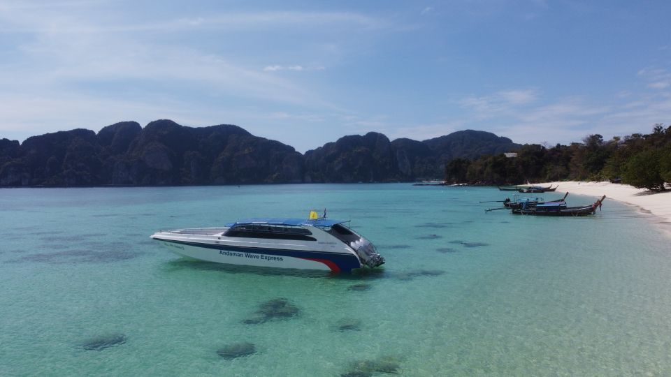 From Phuket: Phi Phi Islands Speedboat Trip & Lunch - Don Island and Monkey Beach: watching monkeys without making it a problem