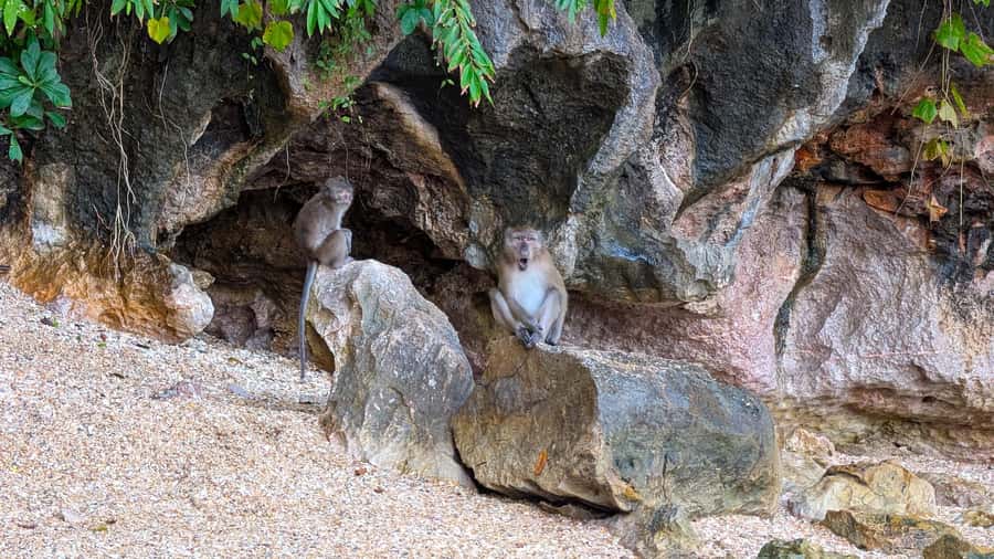 From Phuket: Premium Speedboat Tour to James Bond & Ko Panyi - Khai Island Snorkeling and Beach Time: The Afternoon Reset