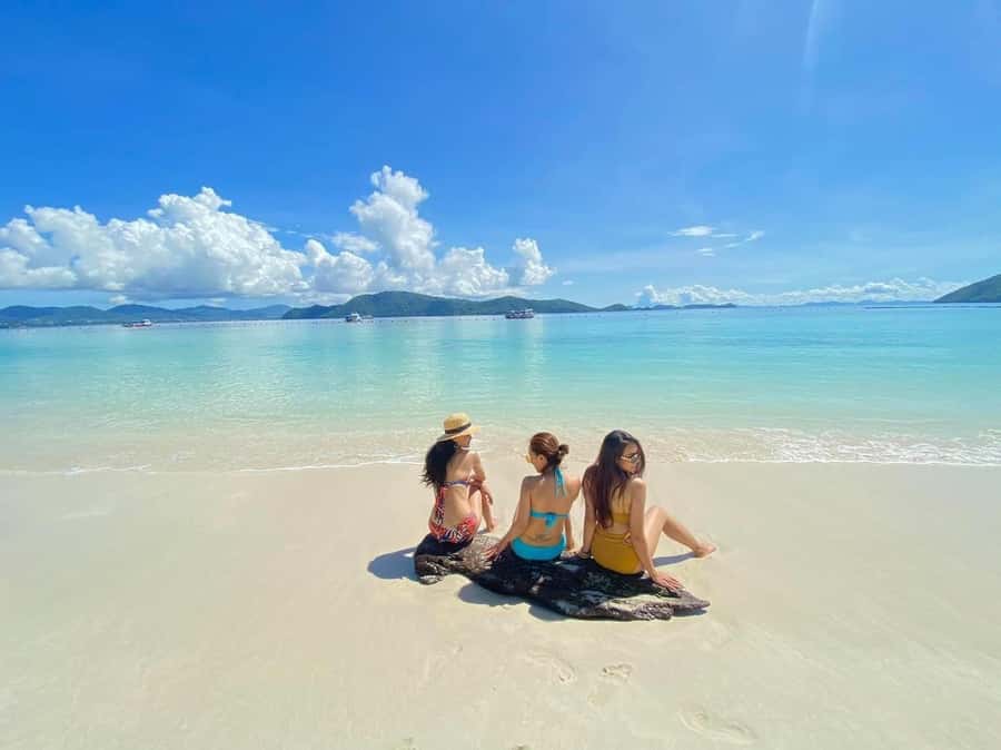 From Phuket: Racha & Maiton Island Dolphin Expedition - Who should book this tour (and who should skip it)