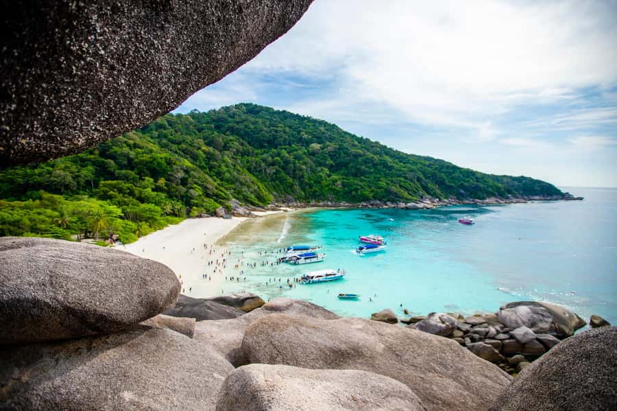 From Phuket: Similan Islands Luxury Trip by Speed Catamaran - Snorkeling gear, insurance, and how to get the most from your reef hour