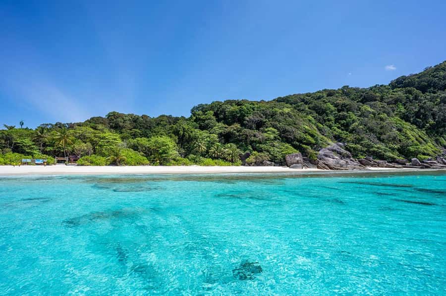 From Phuket: Similan Islands Snorkeling Trip by Speedboat - Food and drinks: more than just lunch