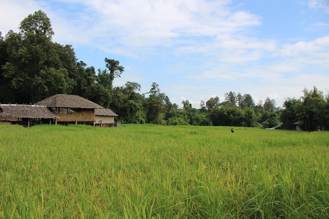 Fruiful Oneday! Trip outskirt of a City from end to end - Full-Day Outskirts Route: Why This Works in Chiang Mai