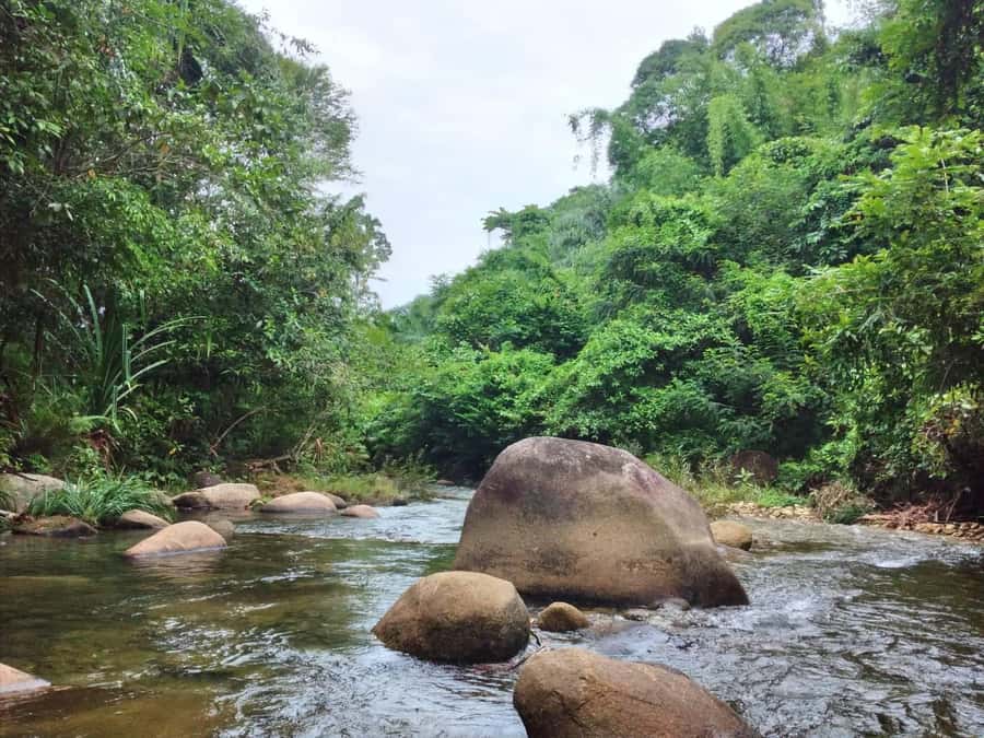 Full-Day ATV Khaolak Adventure with local Support - 1-hour ATV ride through plantations (and how to ride safely)