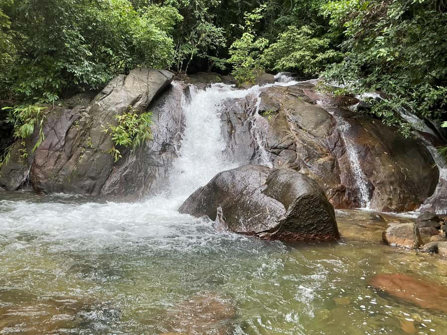 Full-Day ATV Khaolak Adventure with local Support - Local coffee and seasonal fruit stops you’ll actually remember