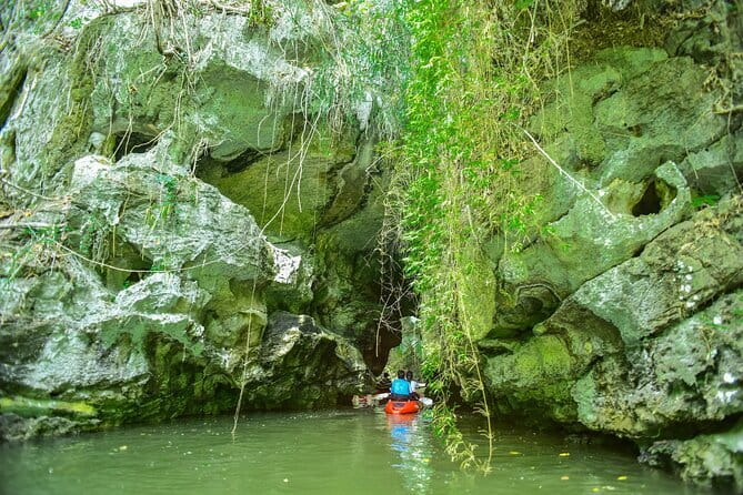 Full-Day Bor Thor Sea Cave Kayaking Adventure from Krabi - Mangrove channels and cave prep: what to expect before you go in