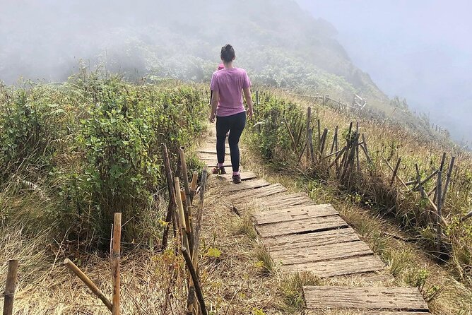 Full Day Car Hire with an English Speaking Driver in Chiang Mai - Doi Inthanon National Park area: waterfalls, hikes, and weather swaps