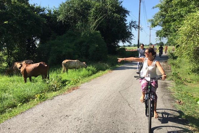 Full Day Cycling tour to Sukhothai Historical Park - The teak furniture stop: a quick detour with real local flavor