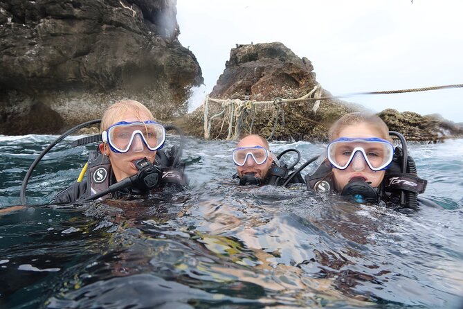 Full Day Diving Activity in Thailand with Lunch - Why Sail Rock makes this worth the full day