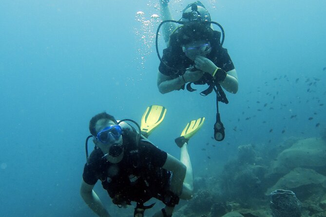Full Day Diving Activity in Thailand with Lunch - Price and value: is $212.93 a fair deal?